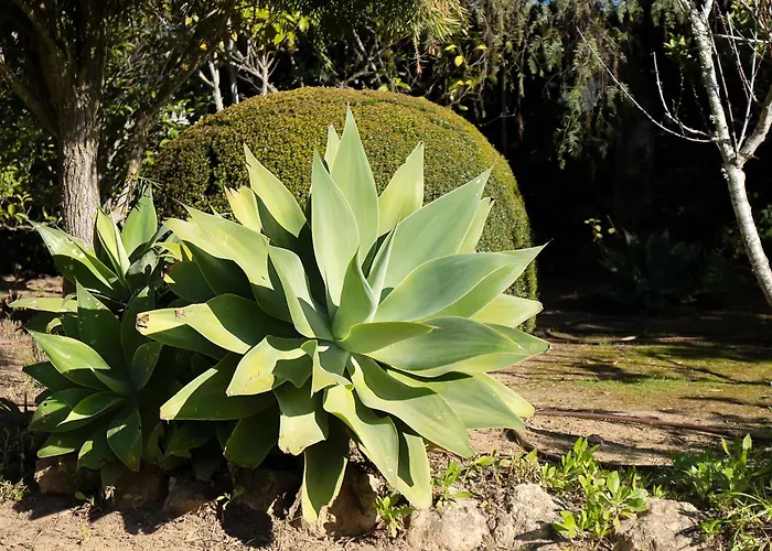 Casa Blanca וילה