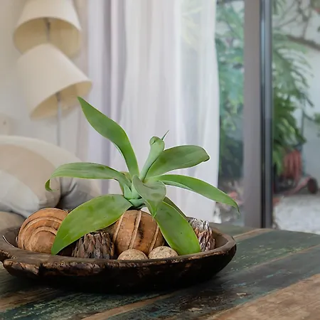 Casa Blanca * Carvoeiro (Lagoa)